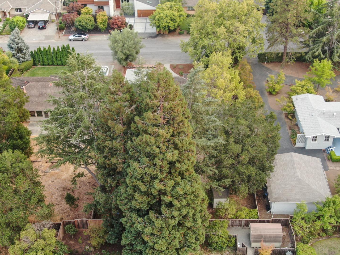 349 Chamisal Avenue Los Altos, CA 94022 - Photo 26 of 27 an aerial view of a house with a yard