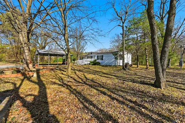 a view of a yard with a tree