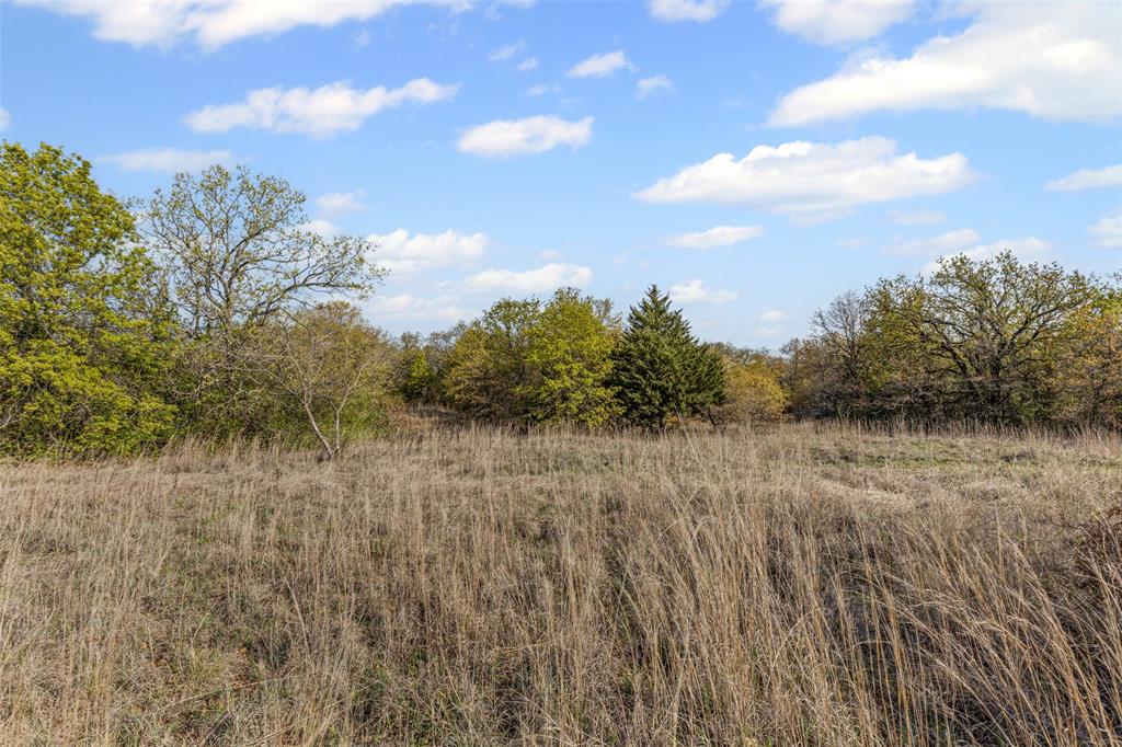 0 County Road 3855 Poolville, TX 76487 - Photo 14 of 21 a view of a yard