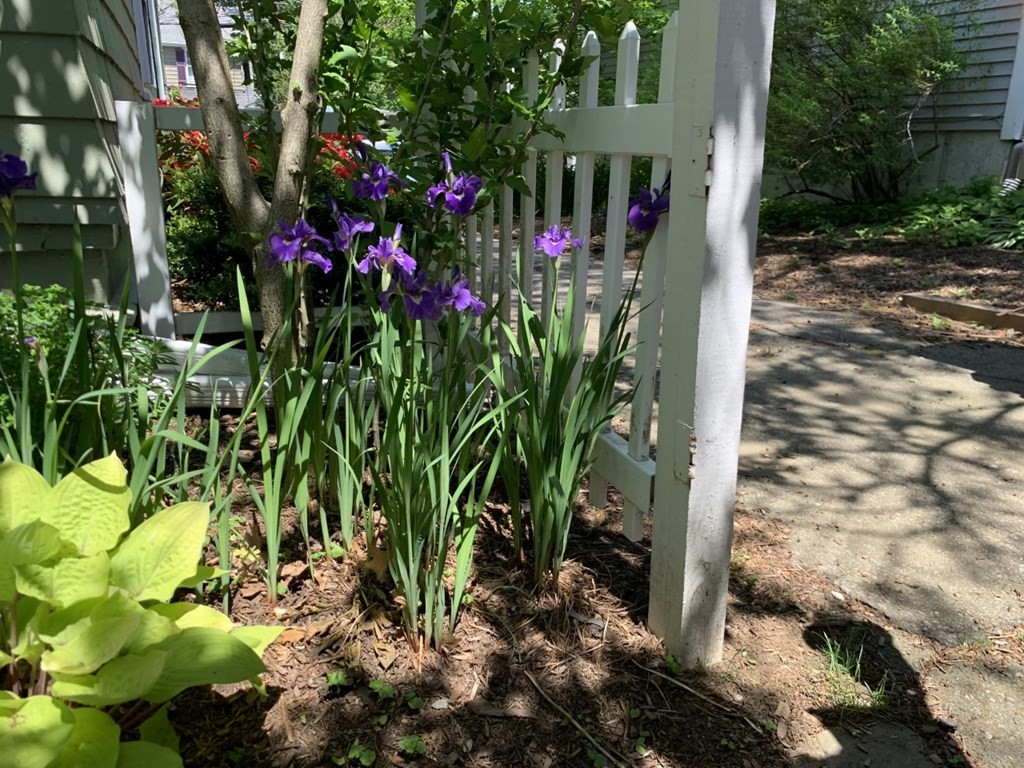 14 Virginia Road Waltham, MA 02453 - Photo 33 of 34