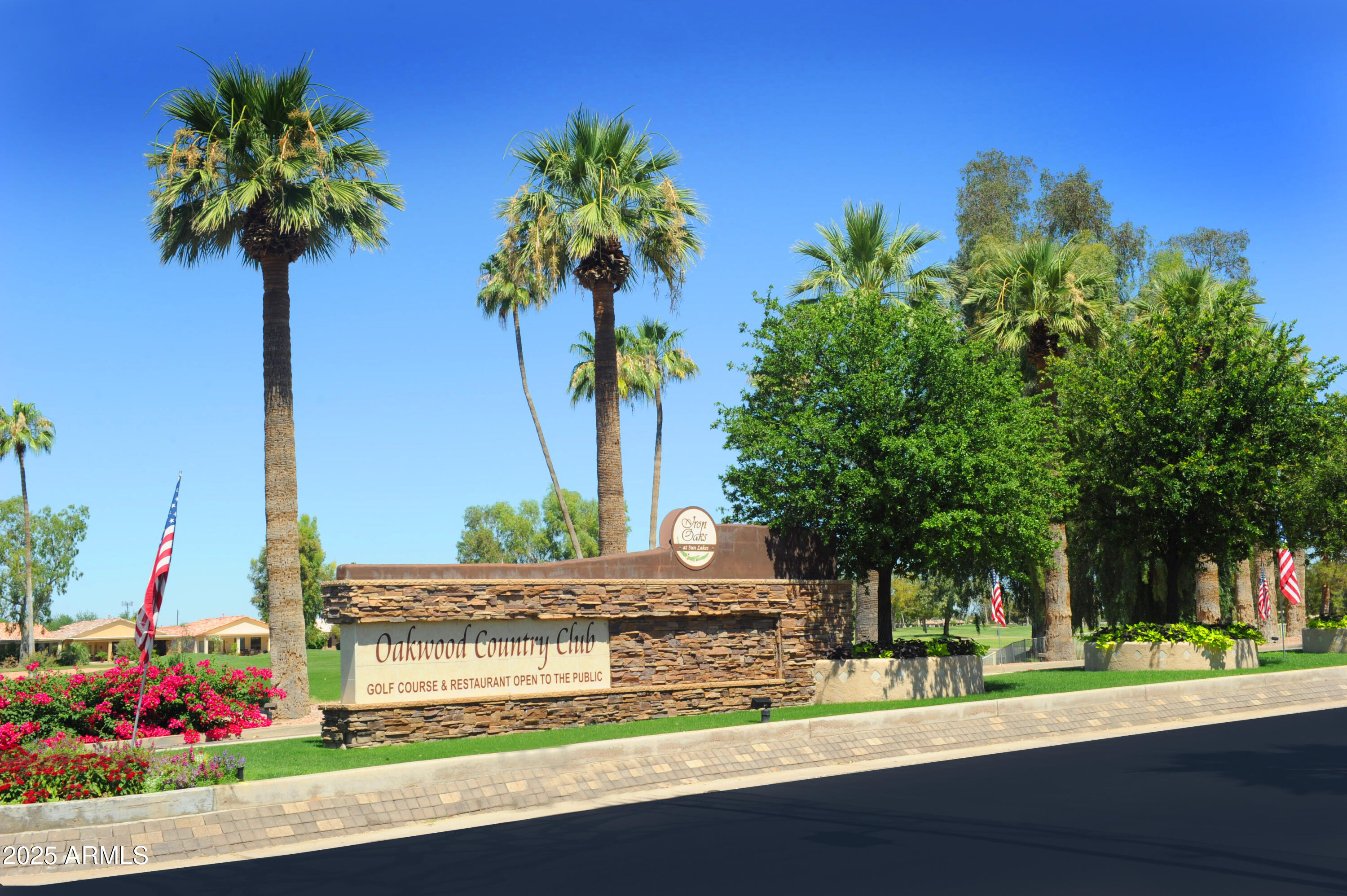 23745 South Vacation Way Sun Lakes, AZ 85248 - Photo 28 of 52 a view of a yard with palm tree