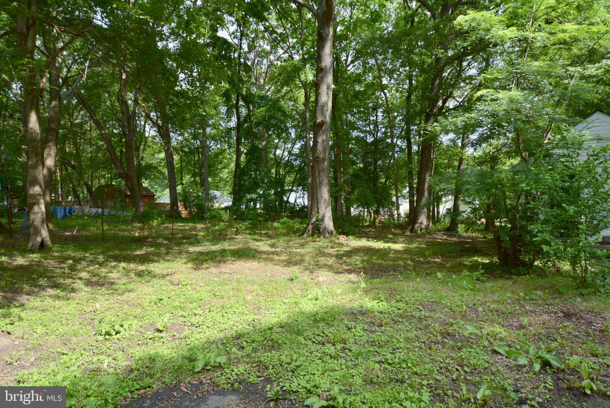 7708 Hoadly Road Manassas, VA 20112 - Photo 14 of 46 Gallery Image 14
