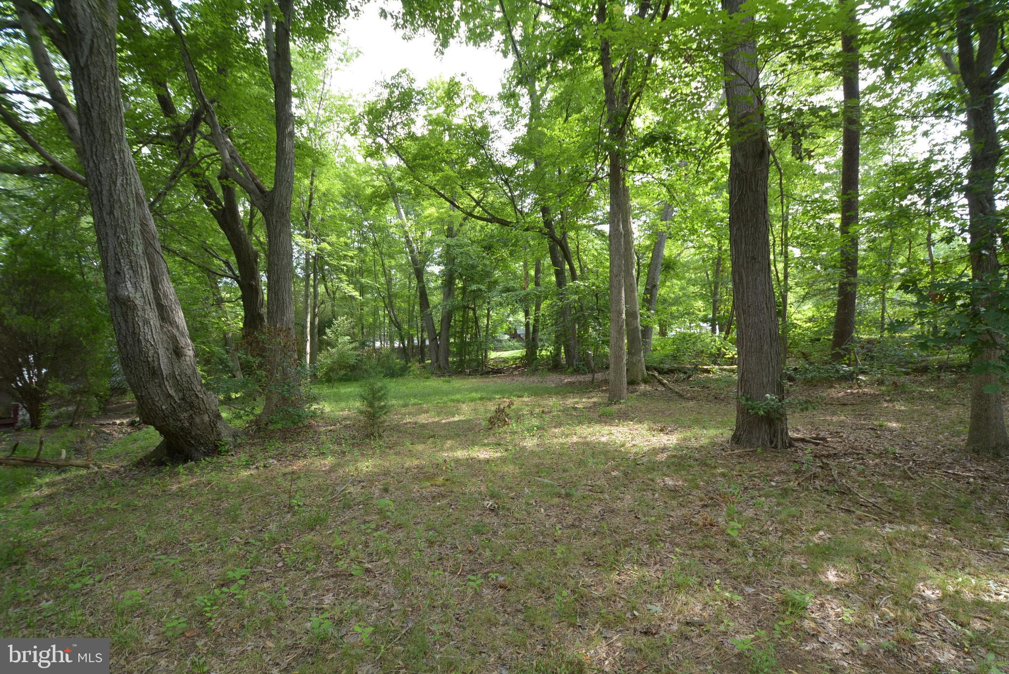 7708 Hoadly Road Manassas, VA 20112 - Photo 7 of 46 Gallery Image 7