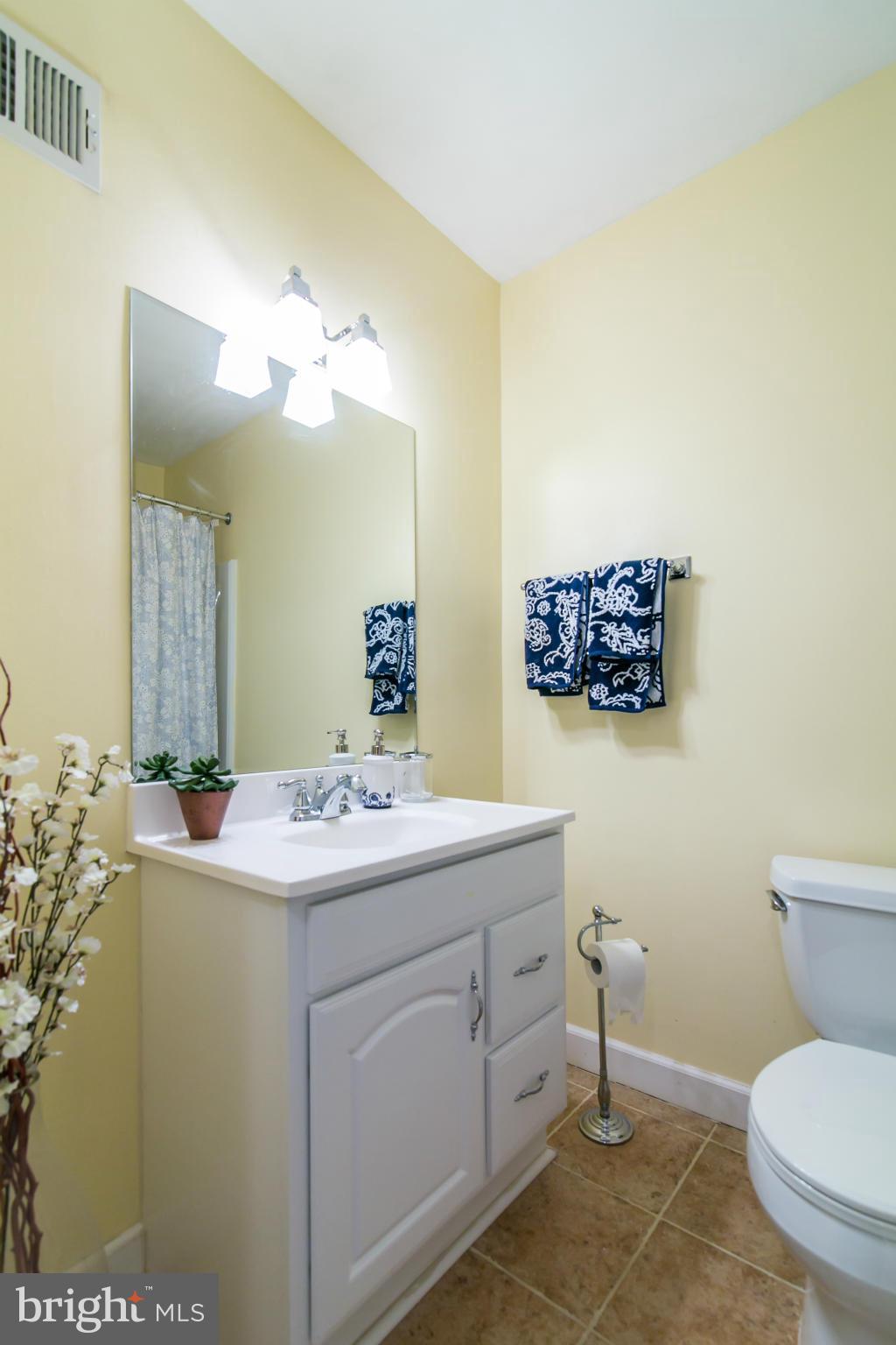11868 St Trinians Court Reston, VA 20191 - Photo 21 of 30 Hall bath