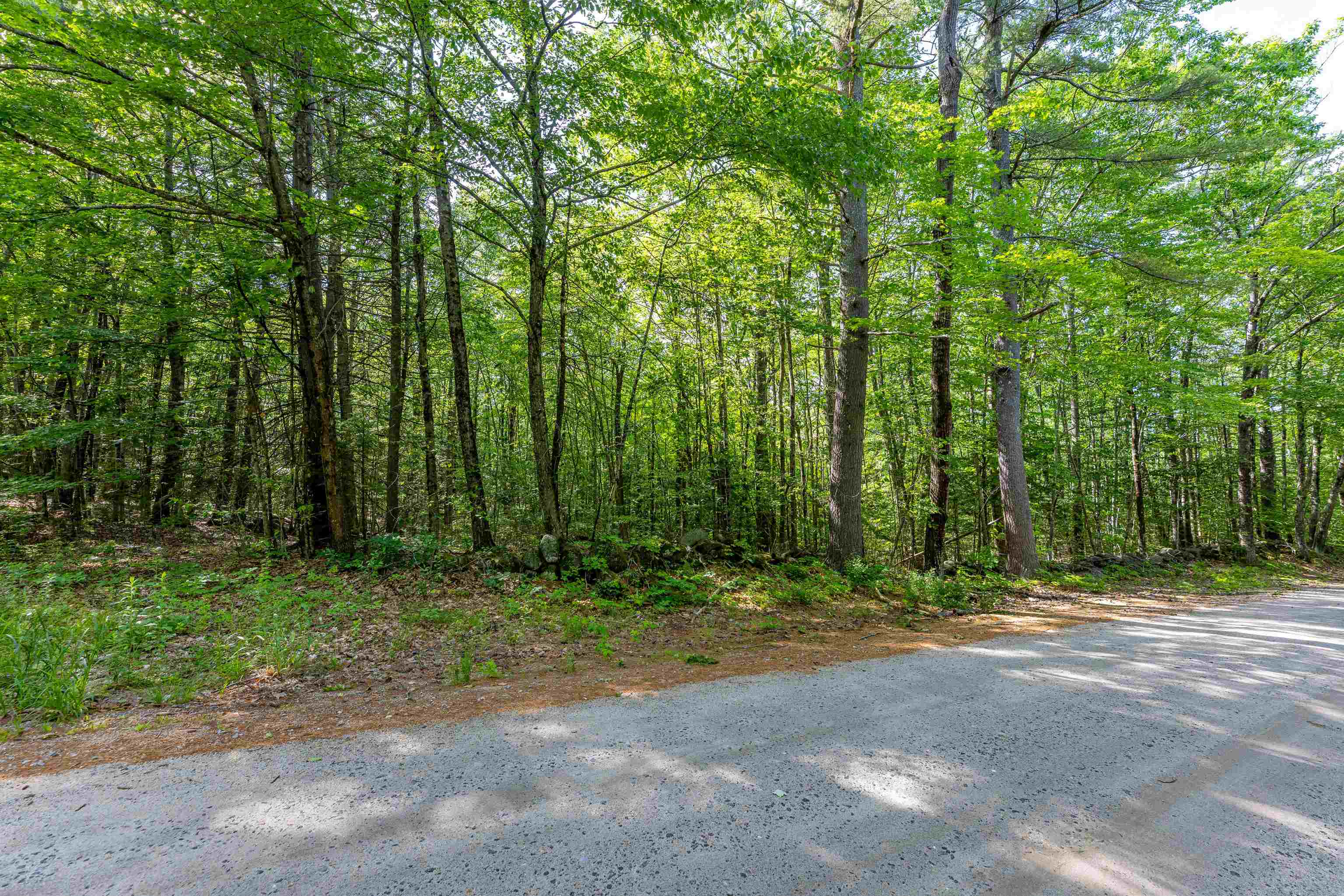 256 Irish Hill Road Hopkinton, NH 03229 - Photo 3 of 6