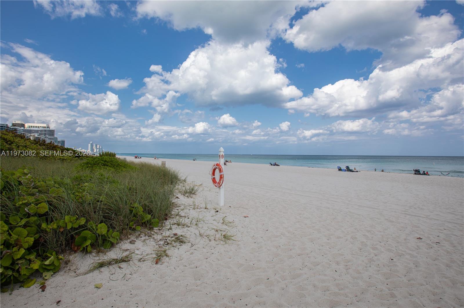 a view of a dry yard