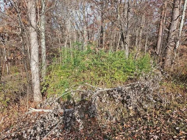 $30,000 | 29-30 Smyrna Heights Road, Evensville, TN 37332