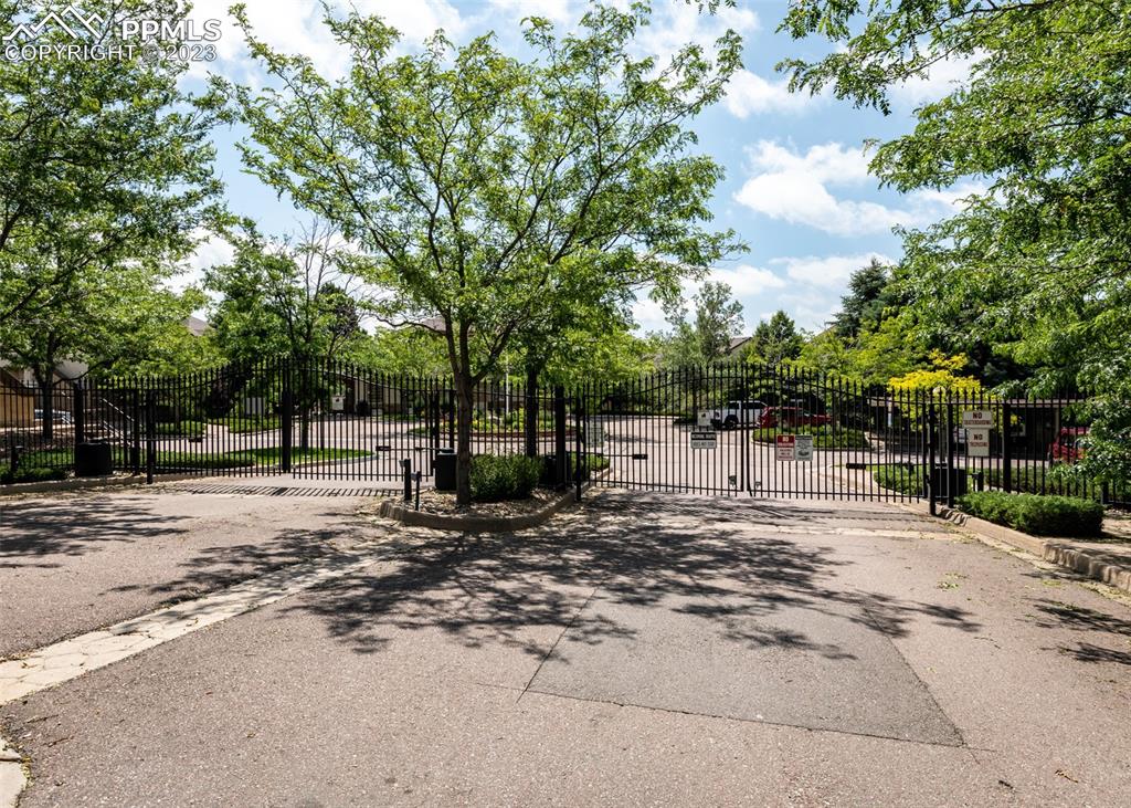 3847 Riviera Grove, Unit 203 Colorado Springs, CO 80922 - Photo 32 of 32 a row of trees with side of trees