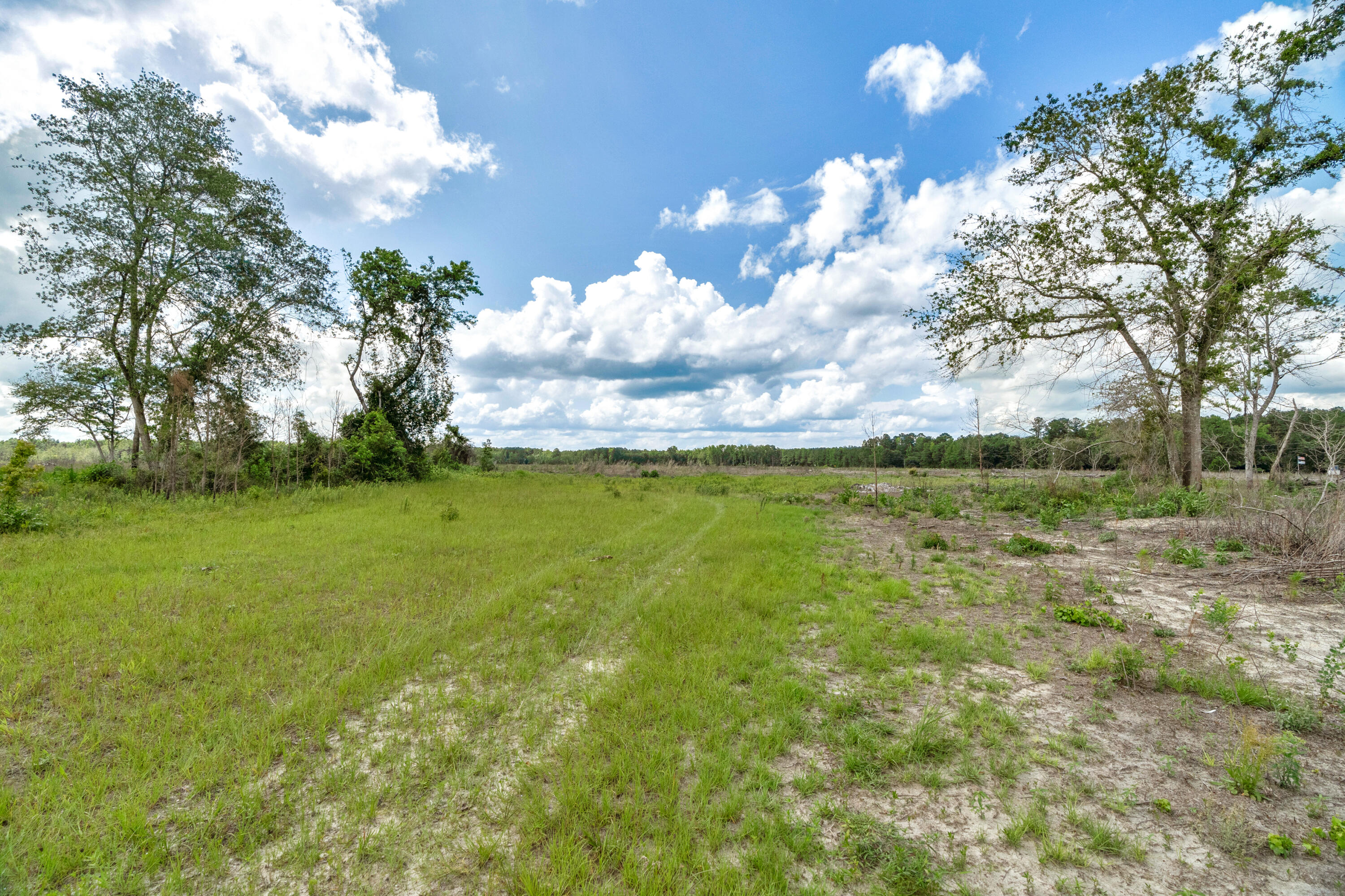 5120 North Brewington Road, Unit 2 Alcolu, SC 29001 - Photo 44 of 46 DSC05425