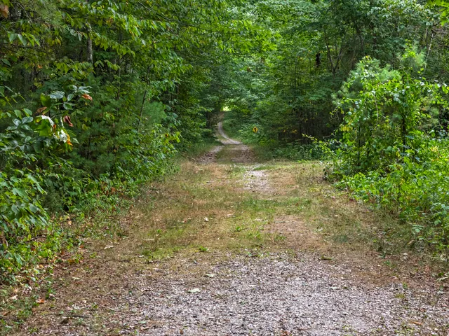 $925,000 | 207 North Auburn Road, Auburn, ME 04210