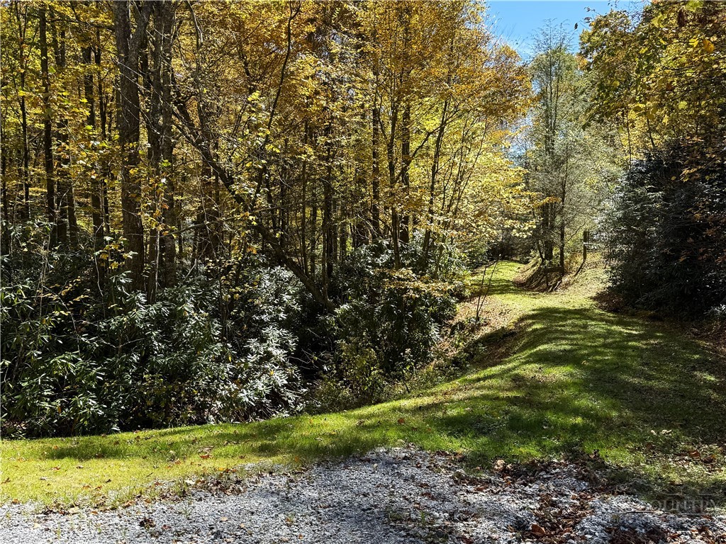 Lot 61 Boone Coffey Trail Boone, NC 28607 - Photo 21 of 22