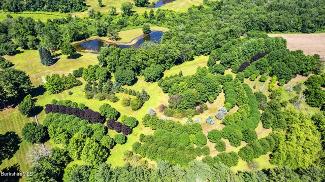 a view of a backyard of a house
