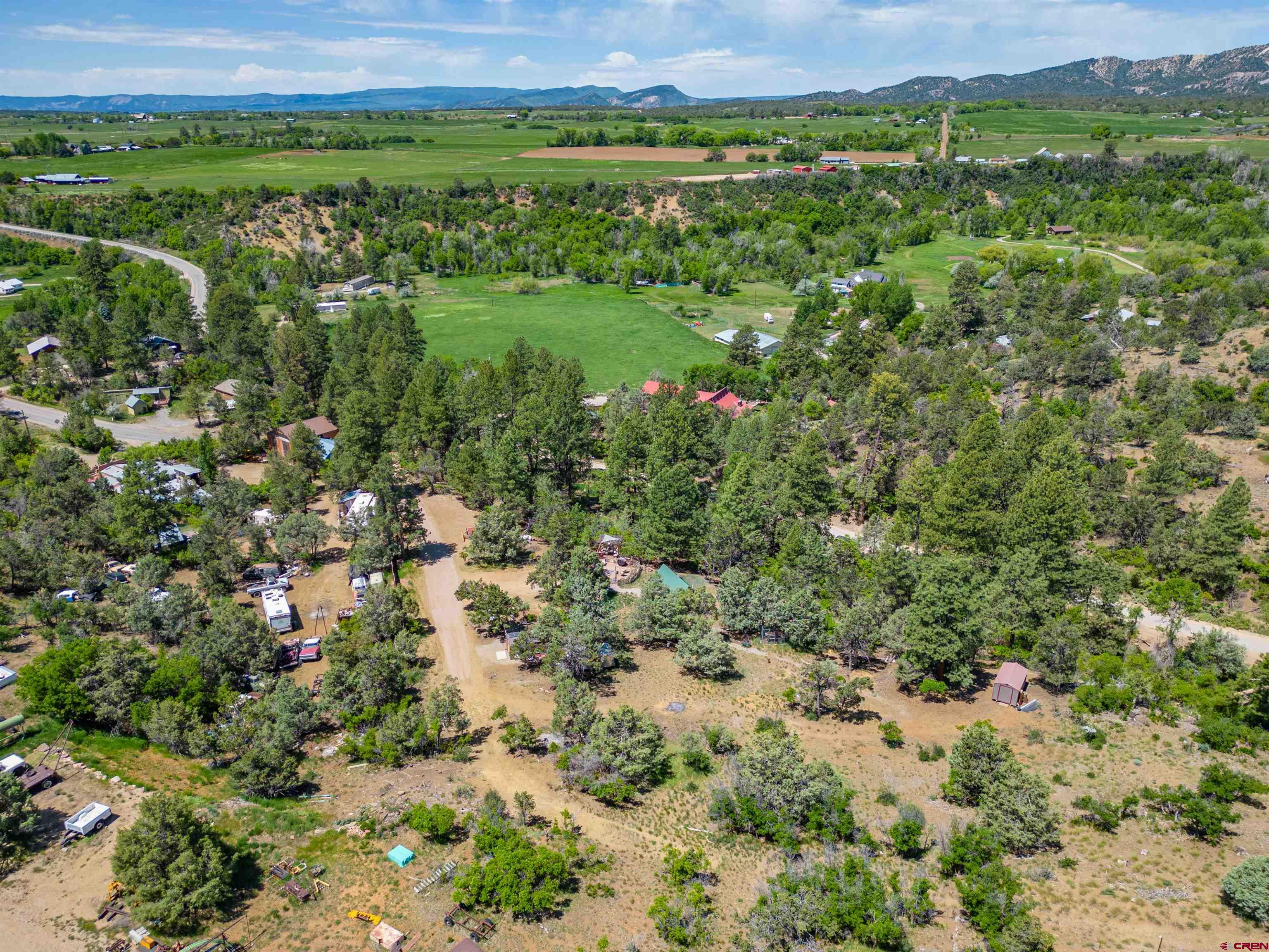 10 Alpine Drive Durango, CO 81301 - Photo 23 of 24 a view of a field with a tree