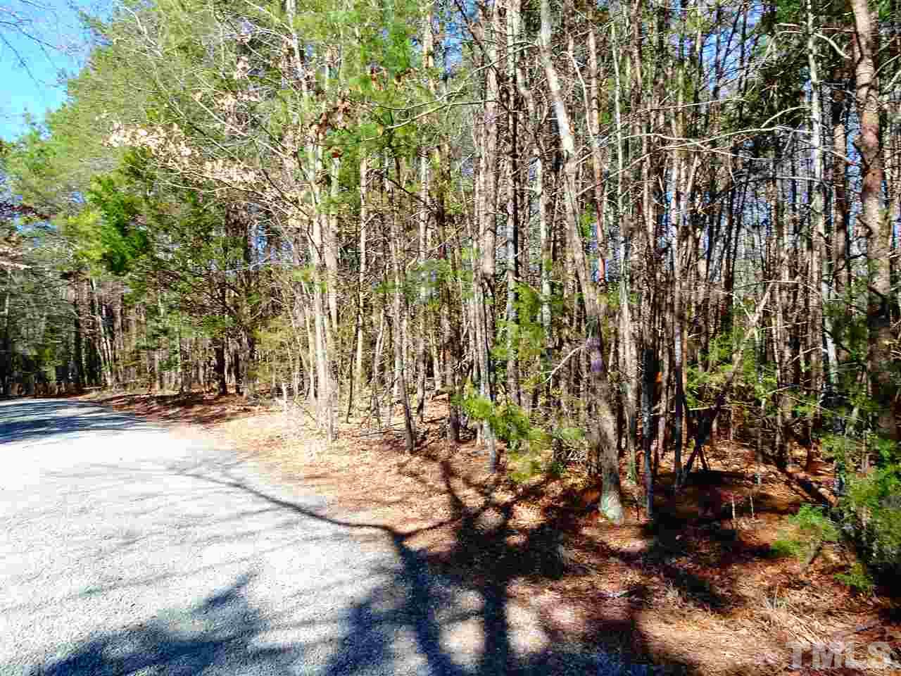 Lot 21-22a Whippoorwill Ridge Road Bullock, NC 27507 - Photo 4 of 17 Gallery Image 4