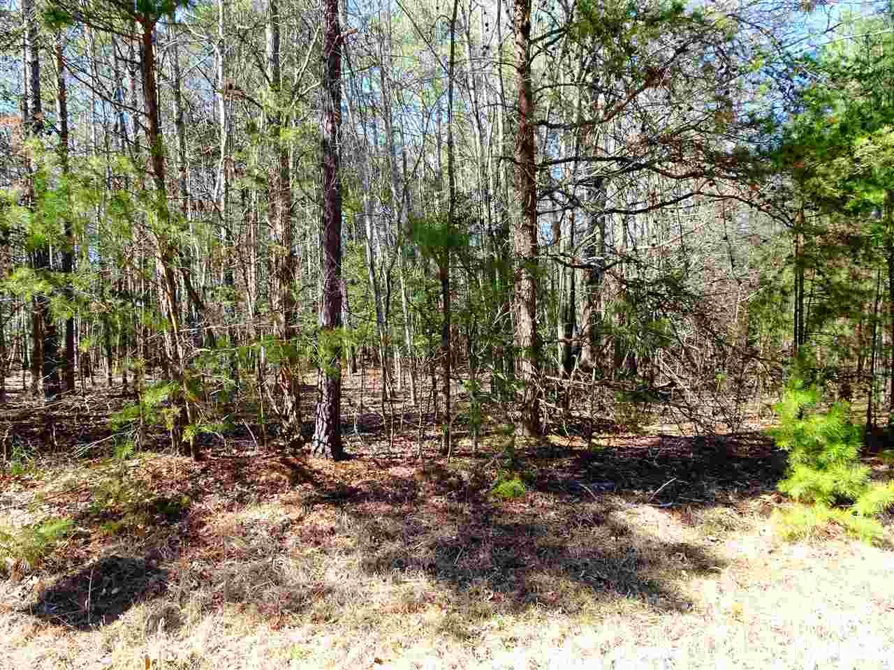 Lot 21-22a Whippoorwill Ridge Road Bullock, NC 27507 - Photo 8 of 17 Gallery Image 8