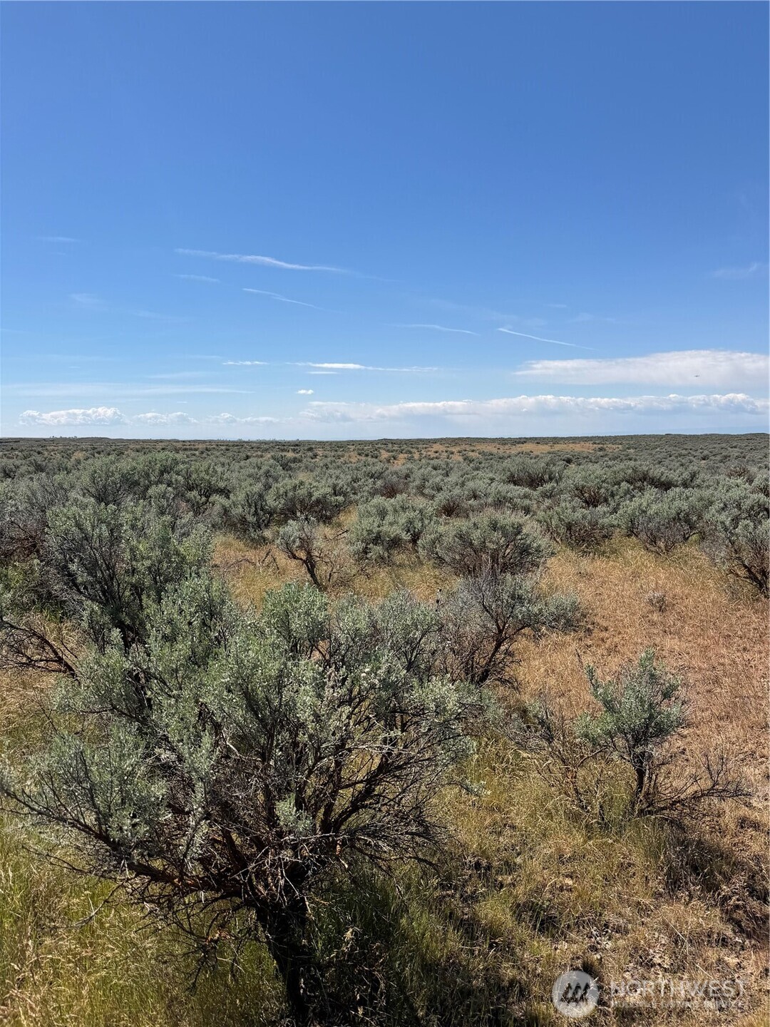 222 Eagle Springs Ranch Moses Lake, WA 98837 - Photo 14 of 18