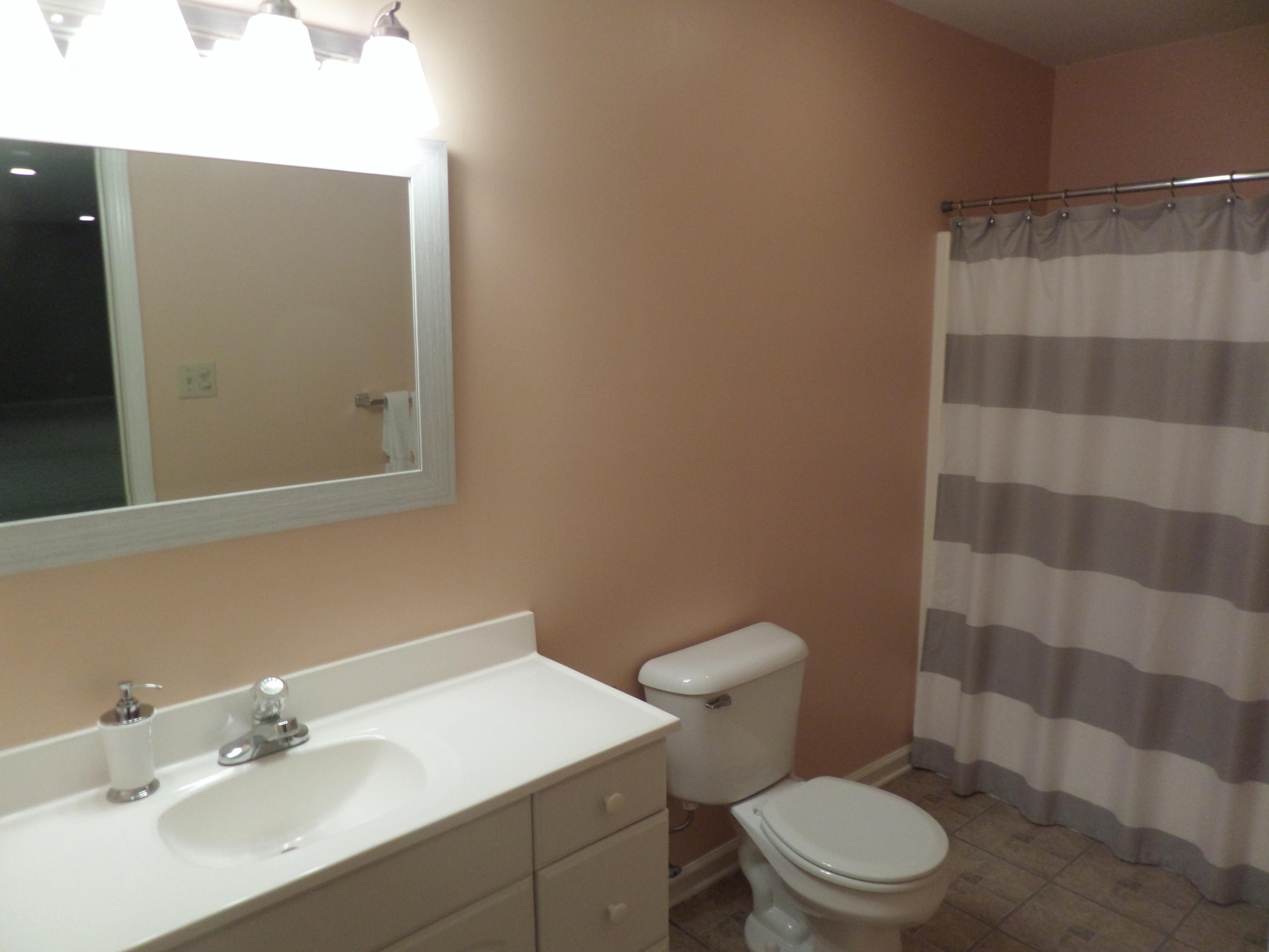 18 Radisson Cove Oak Ridge, TN 37830 - Photo 33 of 40 Downstairs bath