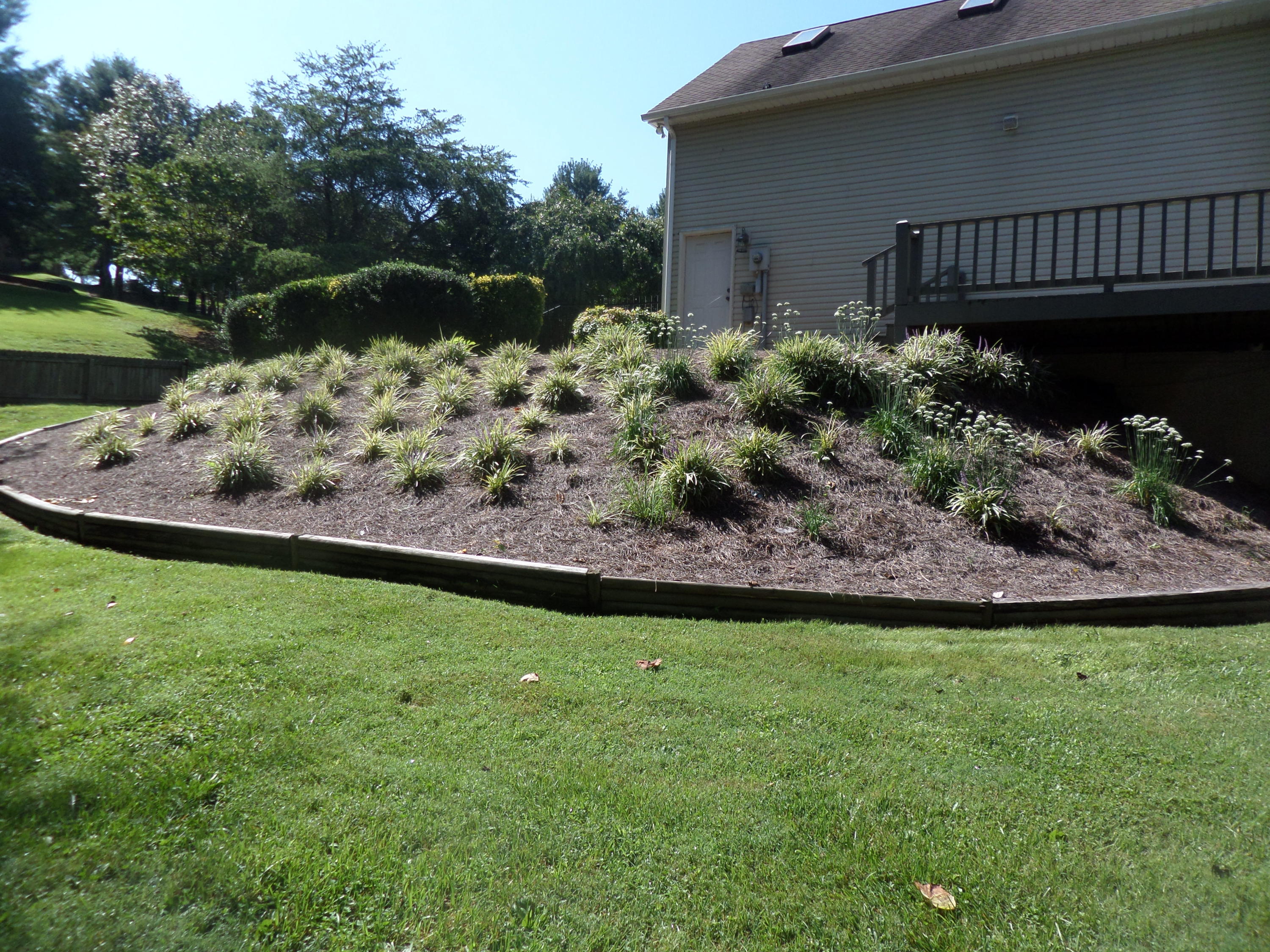 18 Radisson Cove Oak Ridge, TN 37830 - Photo 38 of 40 Back landscaping