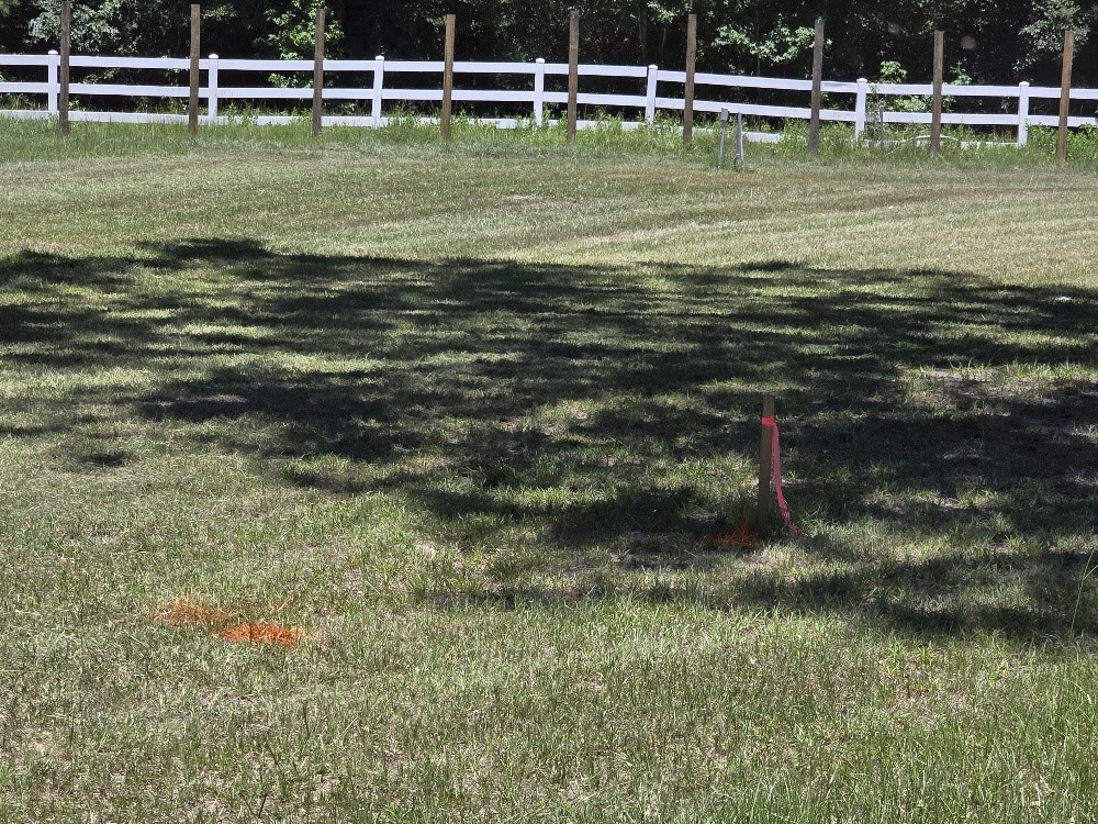 a view of a golf course with a lake view