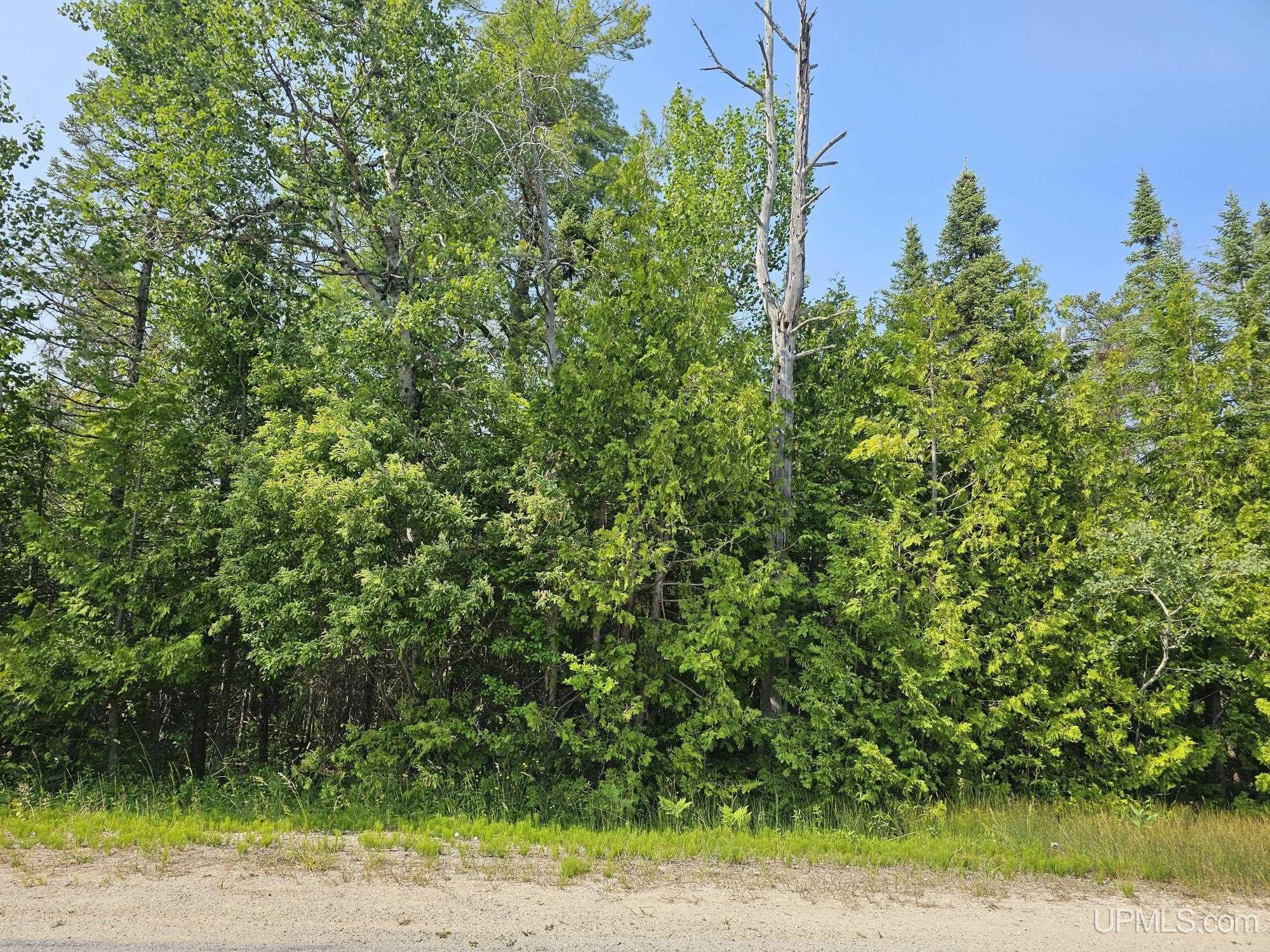 440 North County Road 440 Road Manistique, MI 49854 - Photo 2 of 8