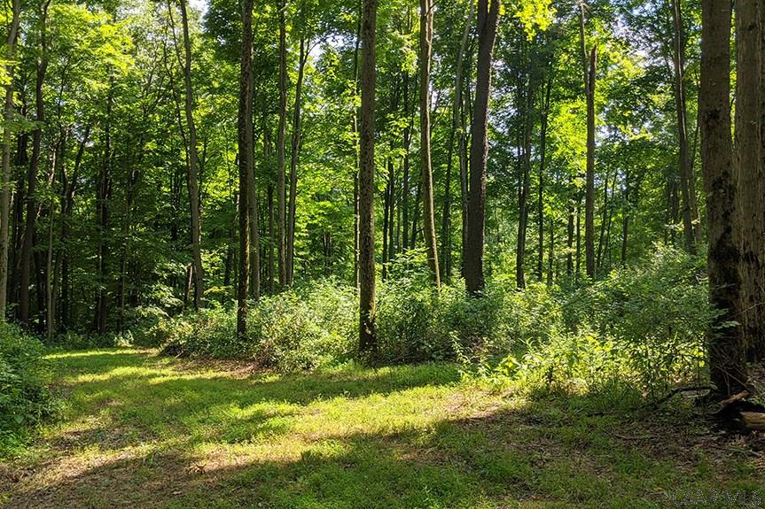 Ridge Road Rockwood, PA 15557 - Photo 20 of 22