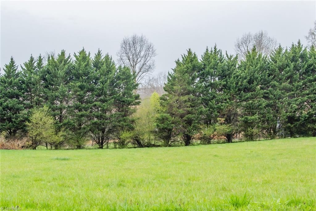 2005 Eldora Road Ararat, NC 27007 - Photo 44 of 48 additional acreage