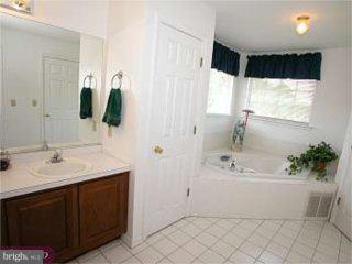 1 Rue Court Millstone Township, NJ 08535 - Photo 5 of 6