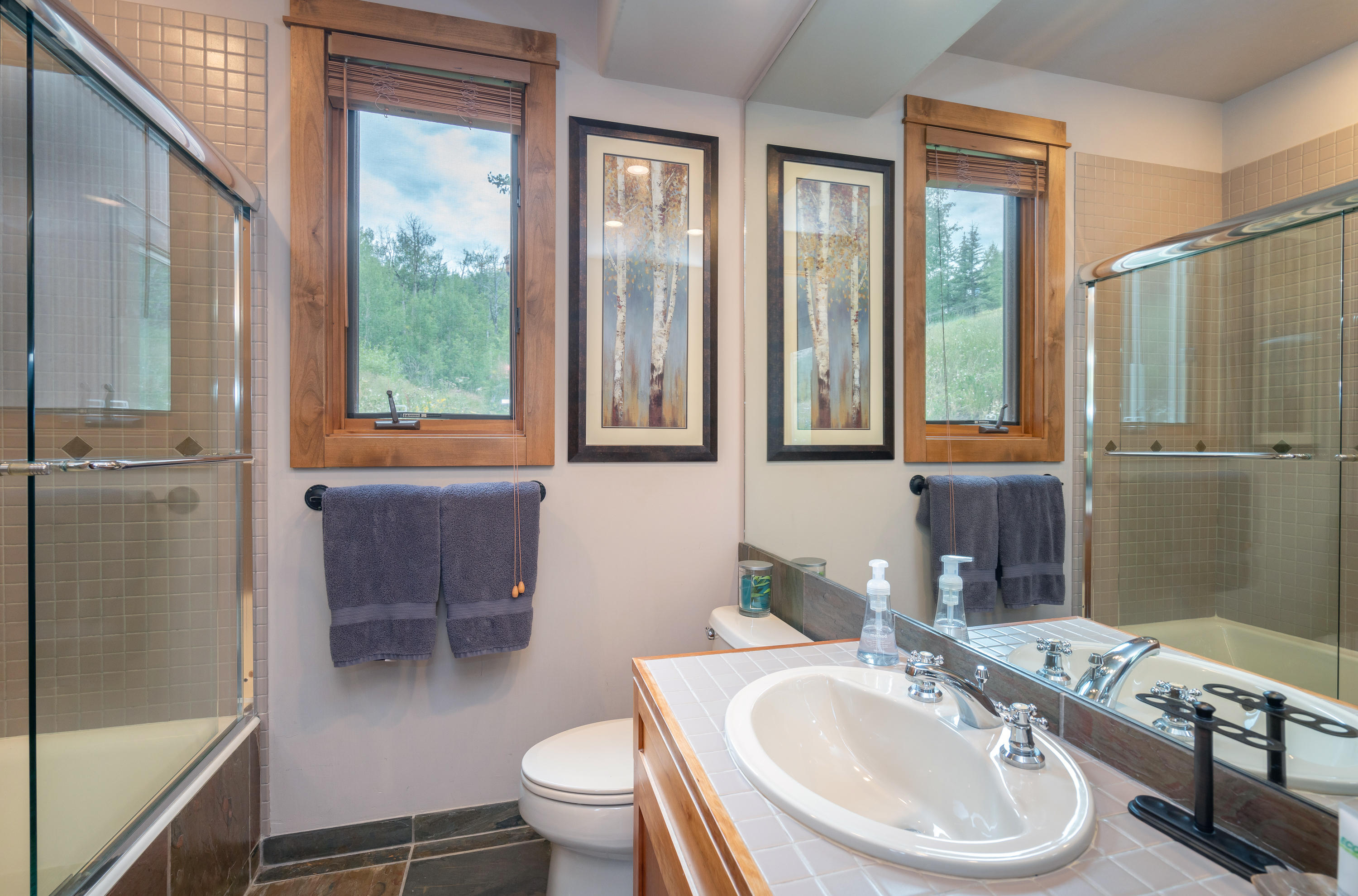333 Adams Ranch Road, Unit 601 Mountain Village, CO 81435 - Photo 11 of 16 second bath 2