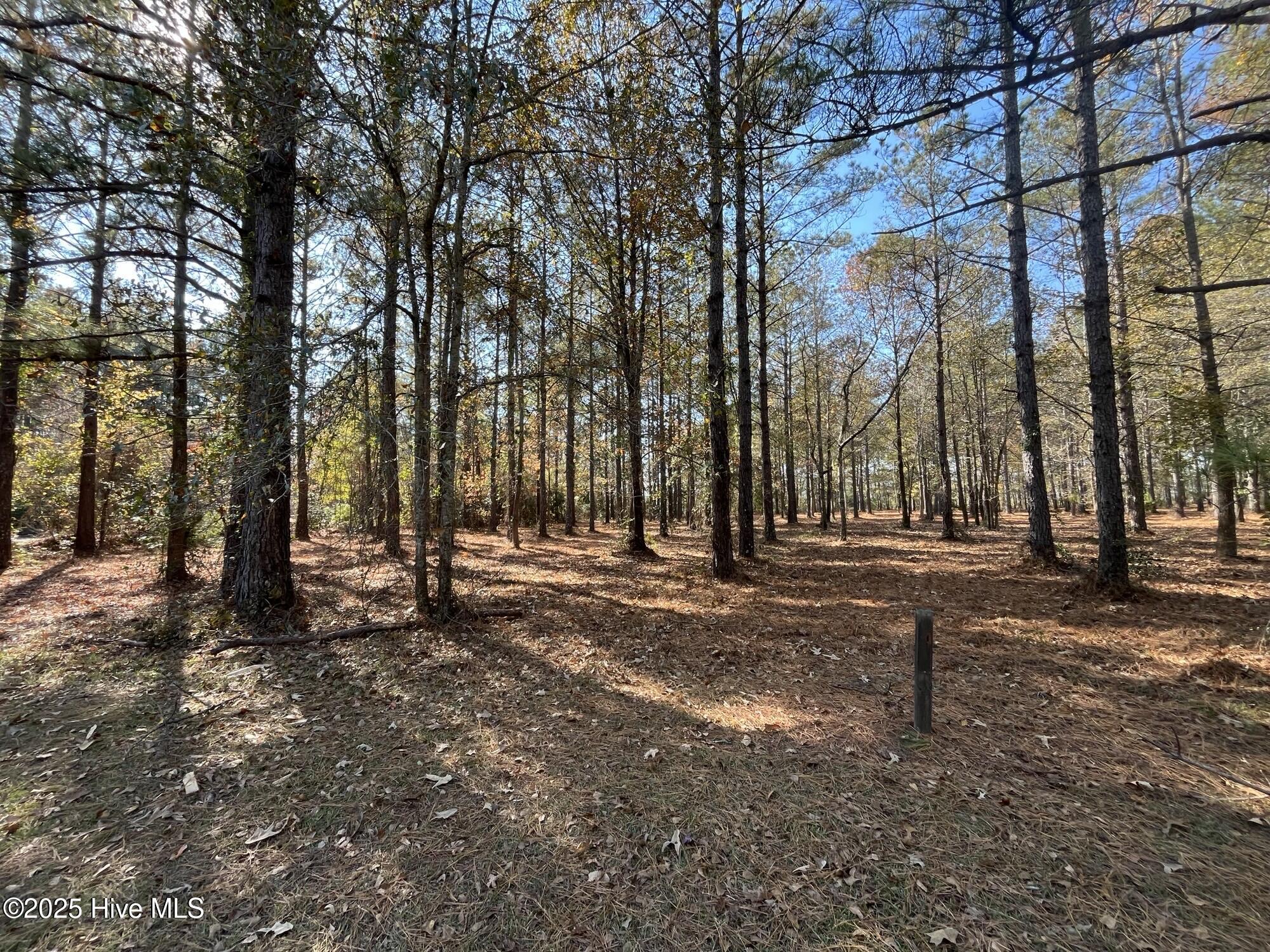 21 North Berne Landing Road New Bern, NC 28560 - Photo 2 of 9 IMG_6134
