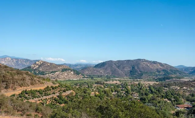 a view of a lush green field with mountains in the background