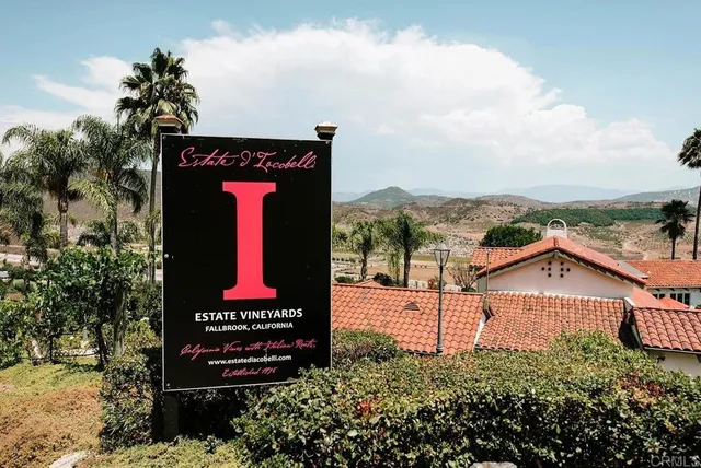 a view of a swimming pool with a bench and floor to ceiling window