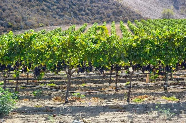 $359,000 | 3976 Lorita Lane, Fallbrook, CA 92028