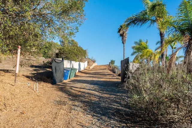 a view of a yard with plants and trees
