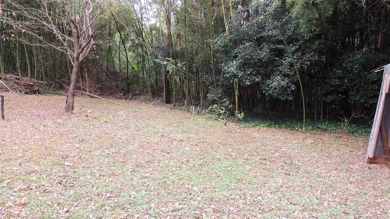 5110 New Cut Road Inman, SC 29349 - Photo 20 of 25