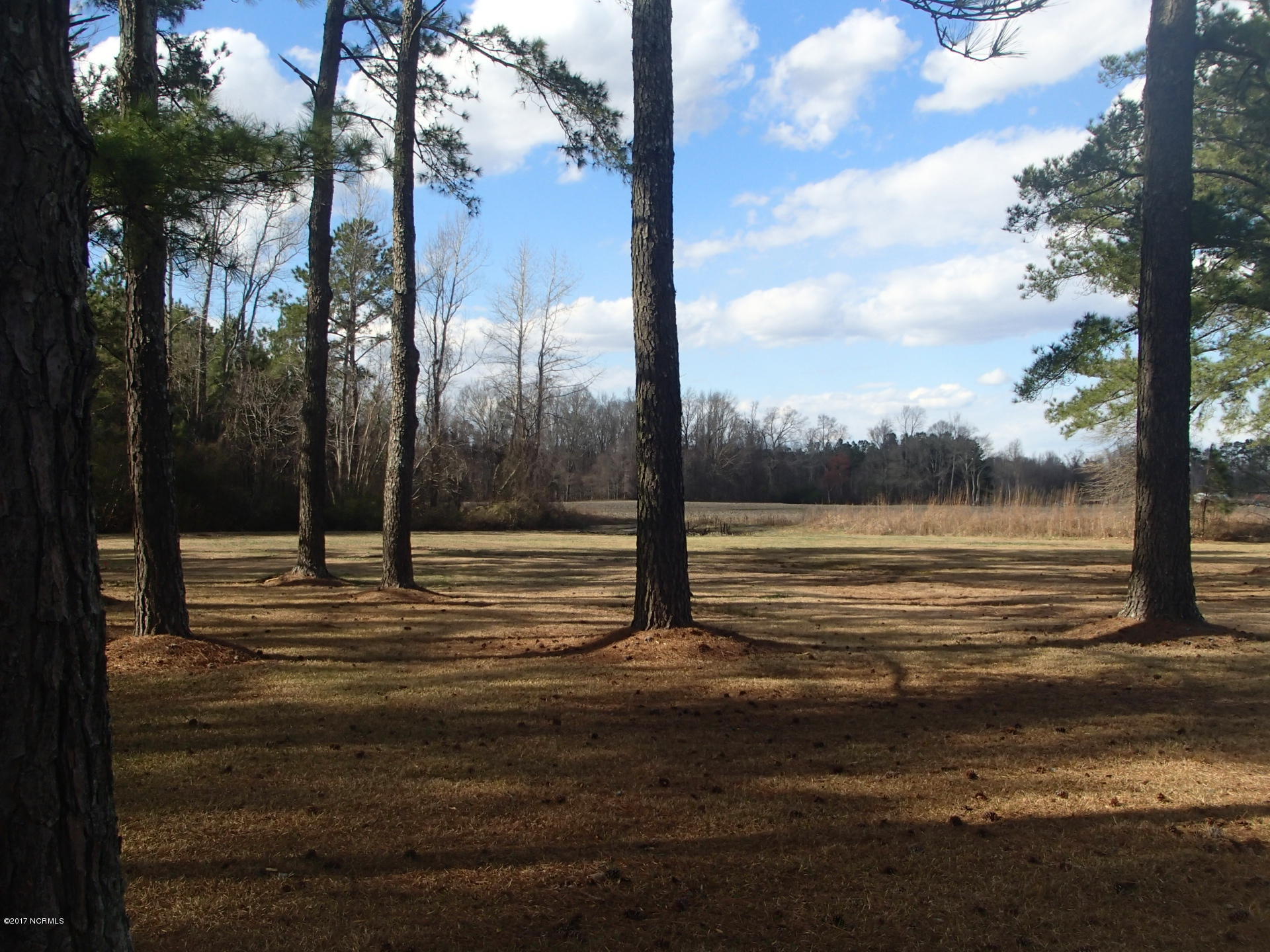 6114 County Home Road Winterville, NC 28590 - Photo 32 of 33 land