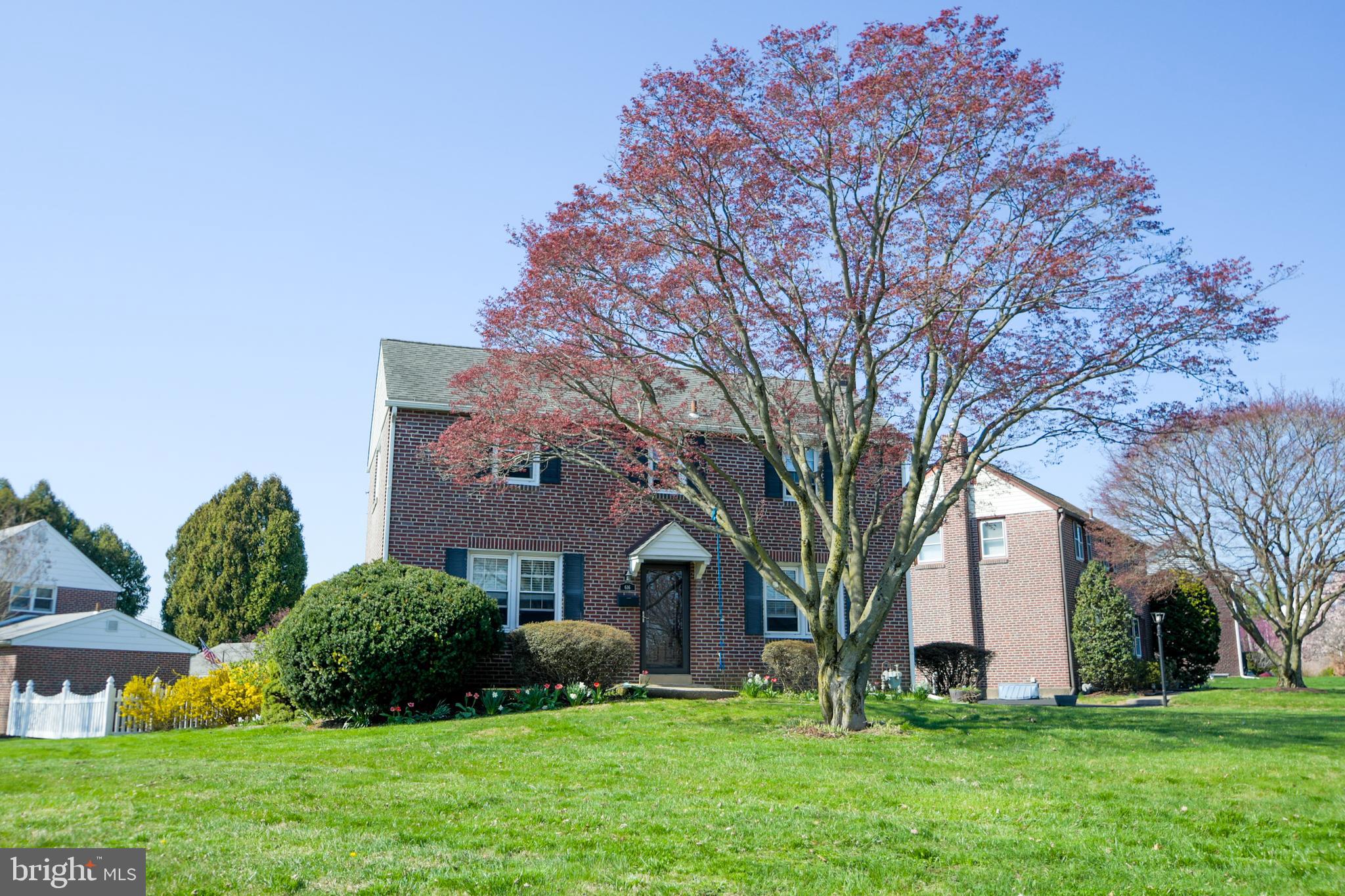 616 Wayne Avenue Springfield, PA 19064 - Photo 2 of 33 a view of house in front of a big yard with potted plants and large trees