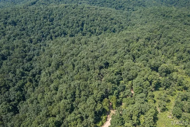 $190,000 | 3341 County Road 146A, Annapolis, MO 63620