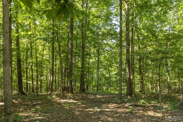 $190,000 | 3341 County Road 146A, Annapolis, MO 63620