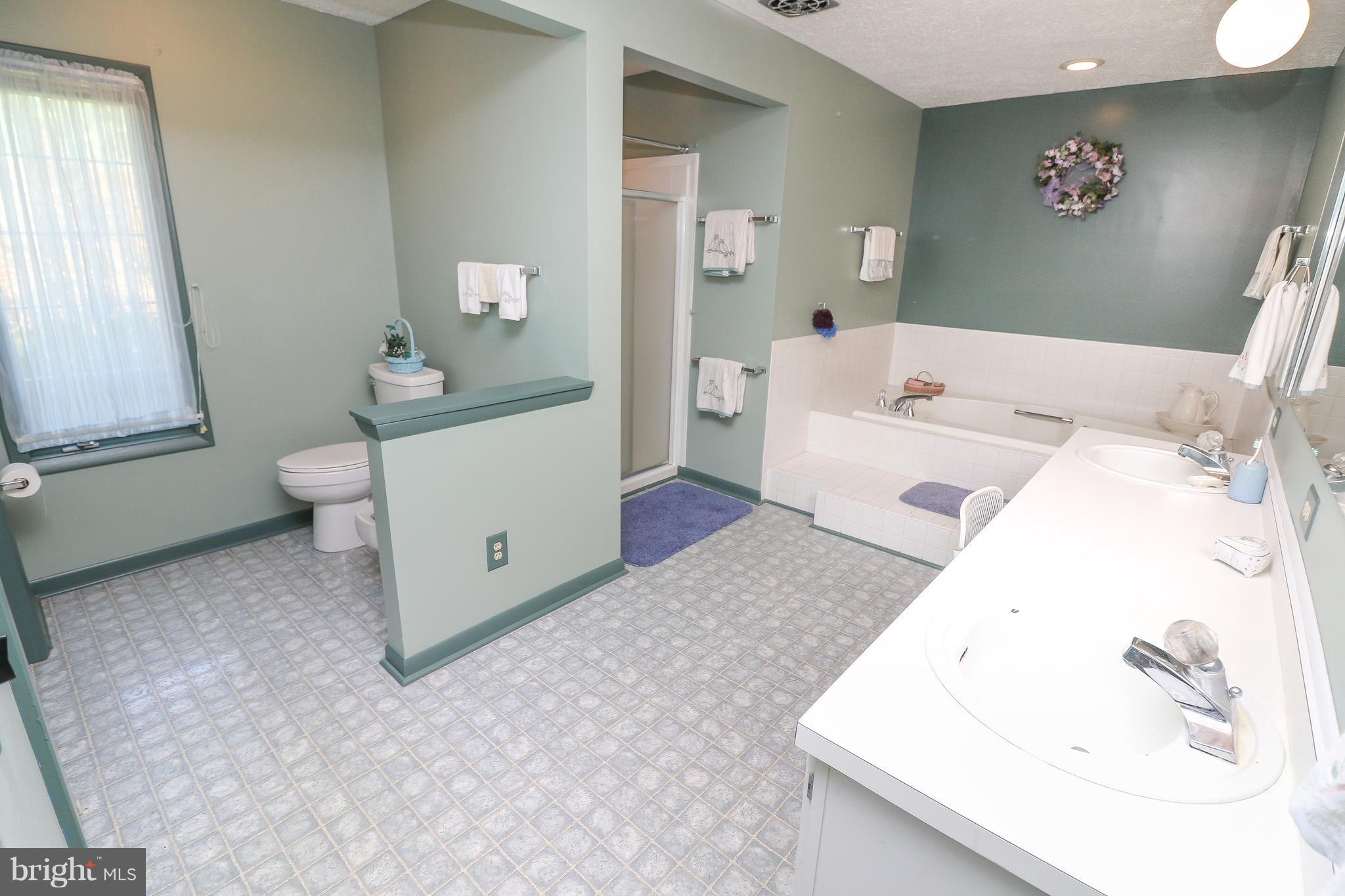 8819 Woodward Road Marshall, VA 20115 - Photo 14 of 30 Bath (Master)