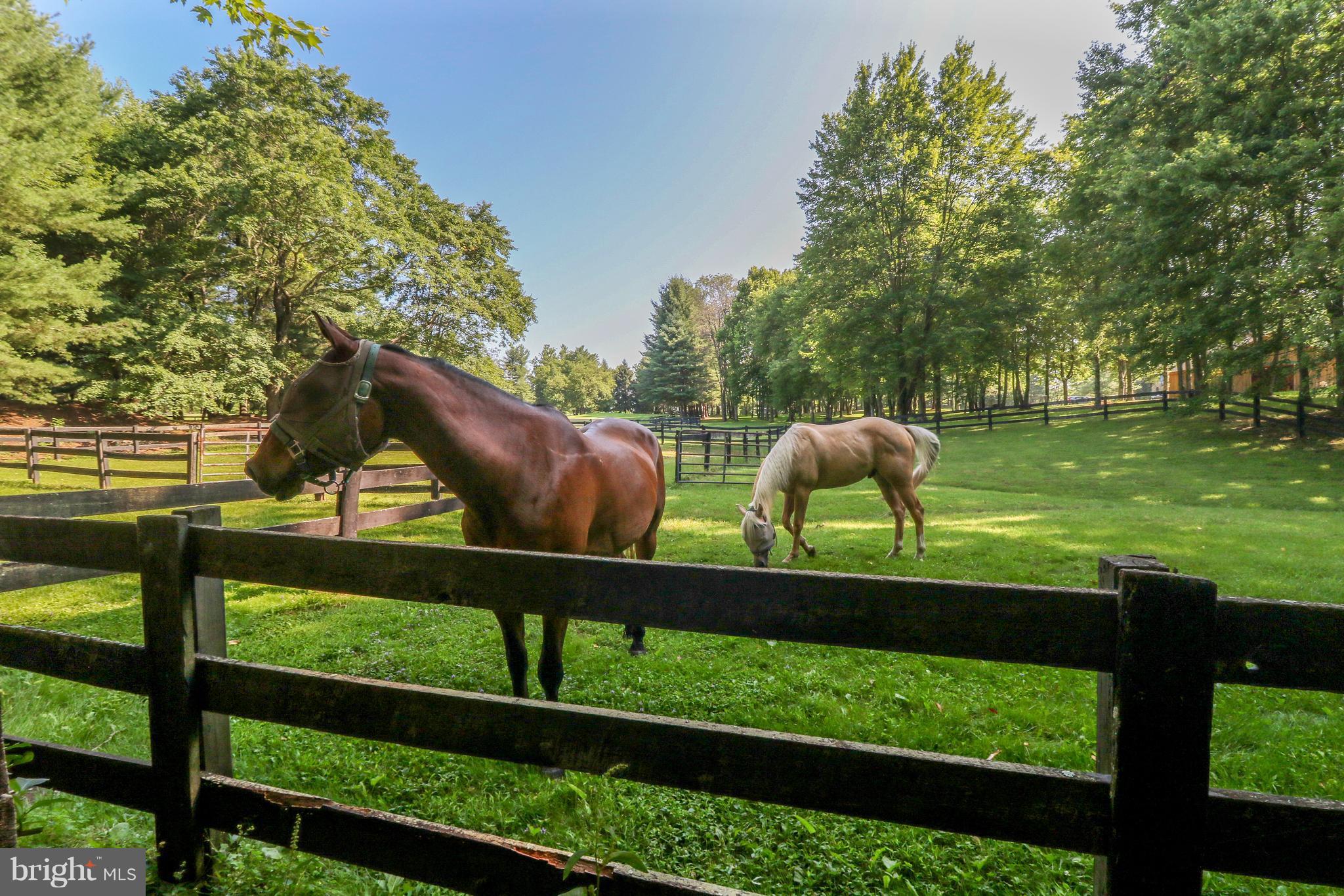 8819 Woodward Road Marshall, VA 20115 - Photo 22 of 30 View