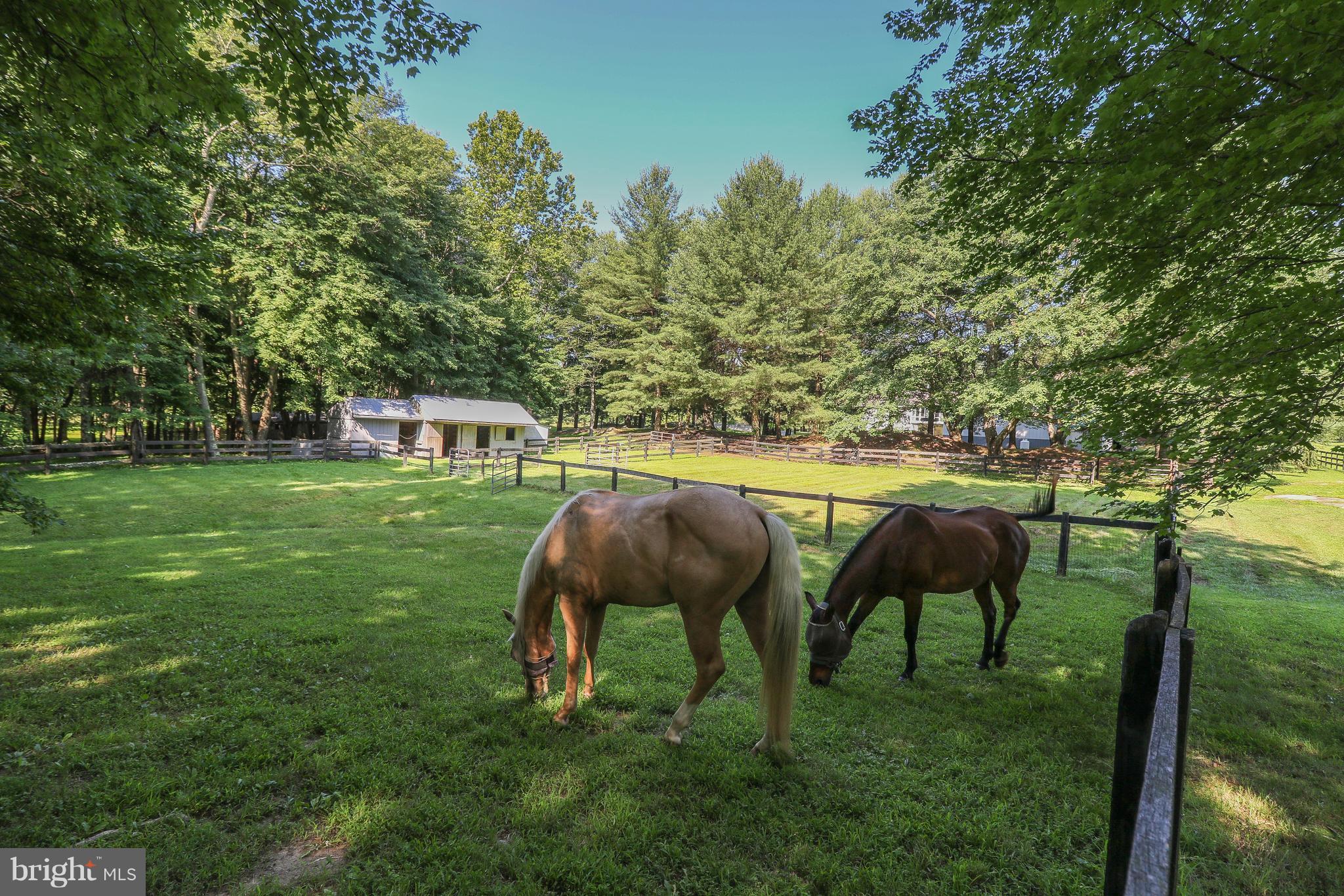 8819 Woodward Road Marshall, VA 20115 - Photo 28 of 30 View