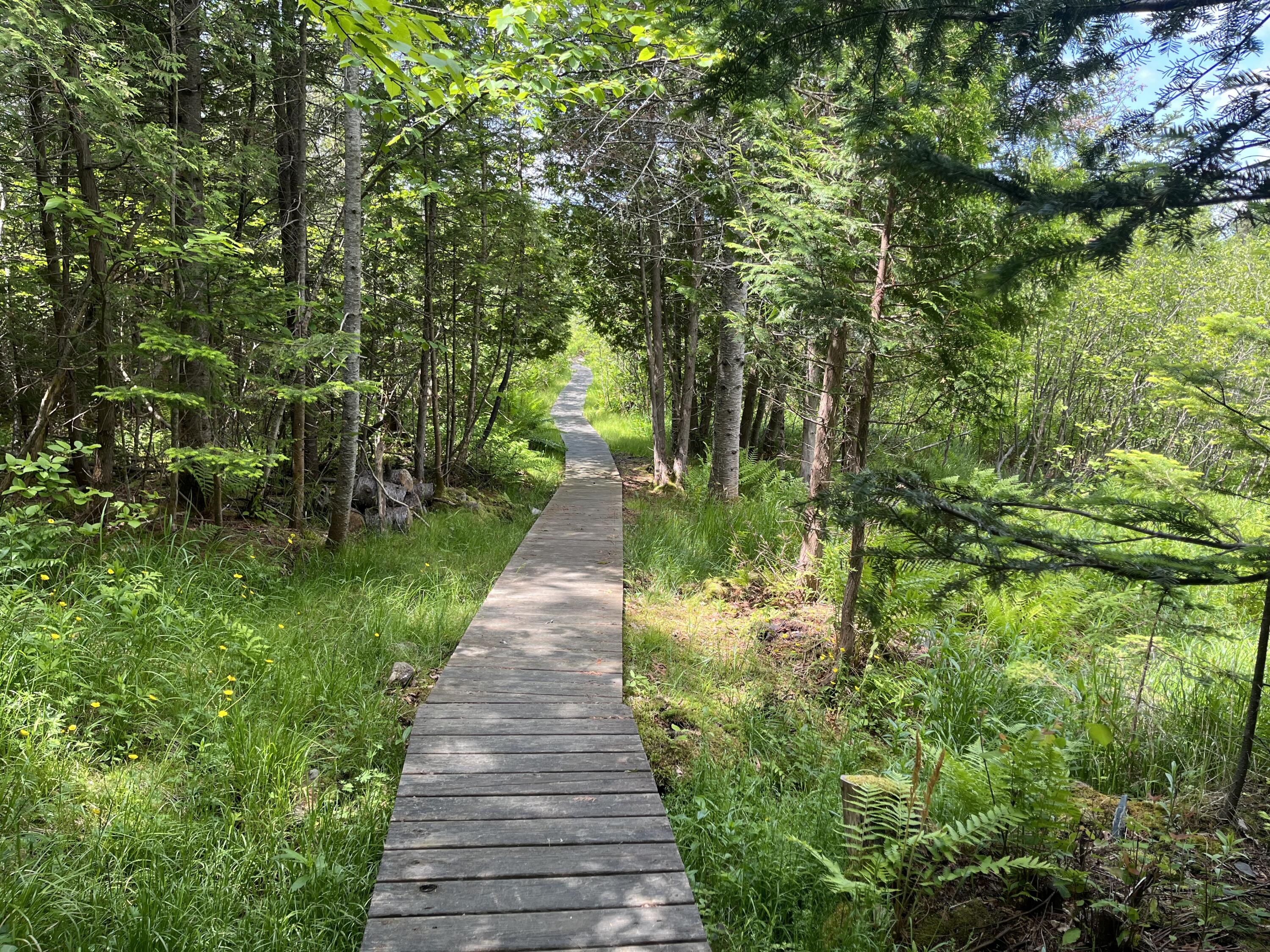 2016 Main Street Rangeley, ME 04970 - Photo 21 of 22 p9sC5a99TZimIv%uDxHADw