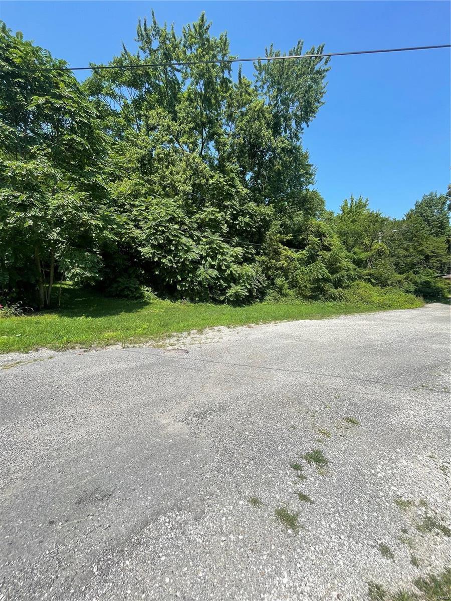 125 North Wood Street Staunton, IL 62088 - Photo 4 of 11