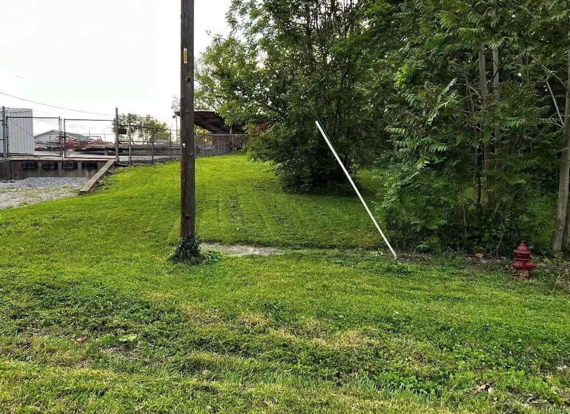 125 North Wood Street Staunton, IL 62088 - Photo 7 of 11