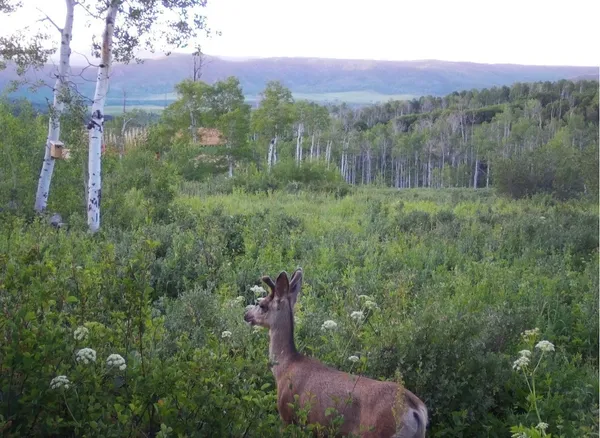 a view of a outdoor space