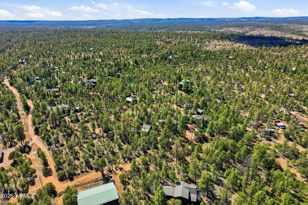 a backyard of a house with trees and stairs