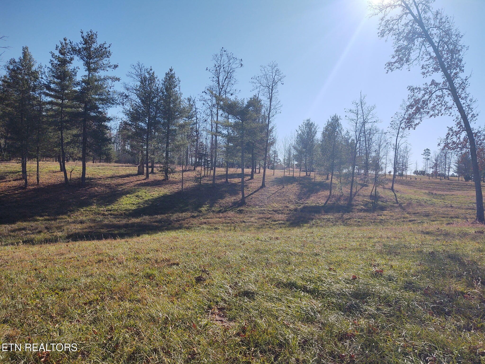 1241 Twin Bridge Road Deer Lodge, TN 37726 - Photo 19 of 35 Gallery Image 19