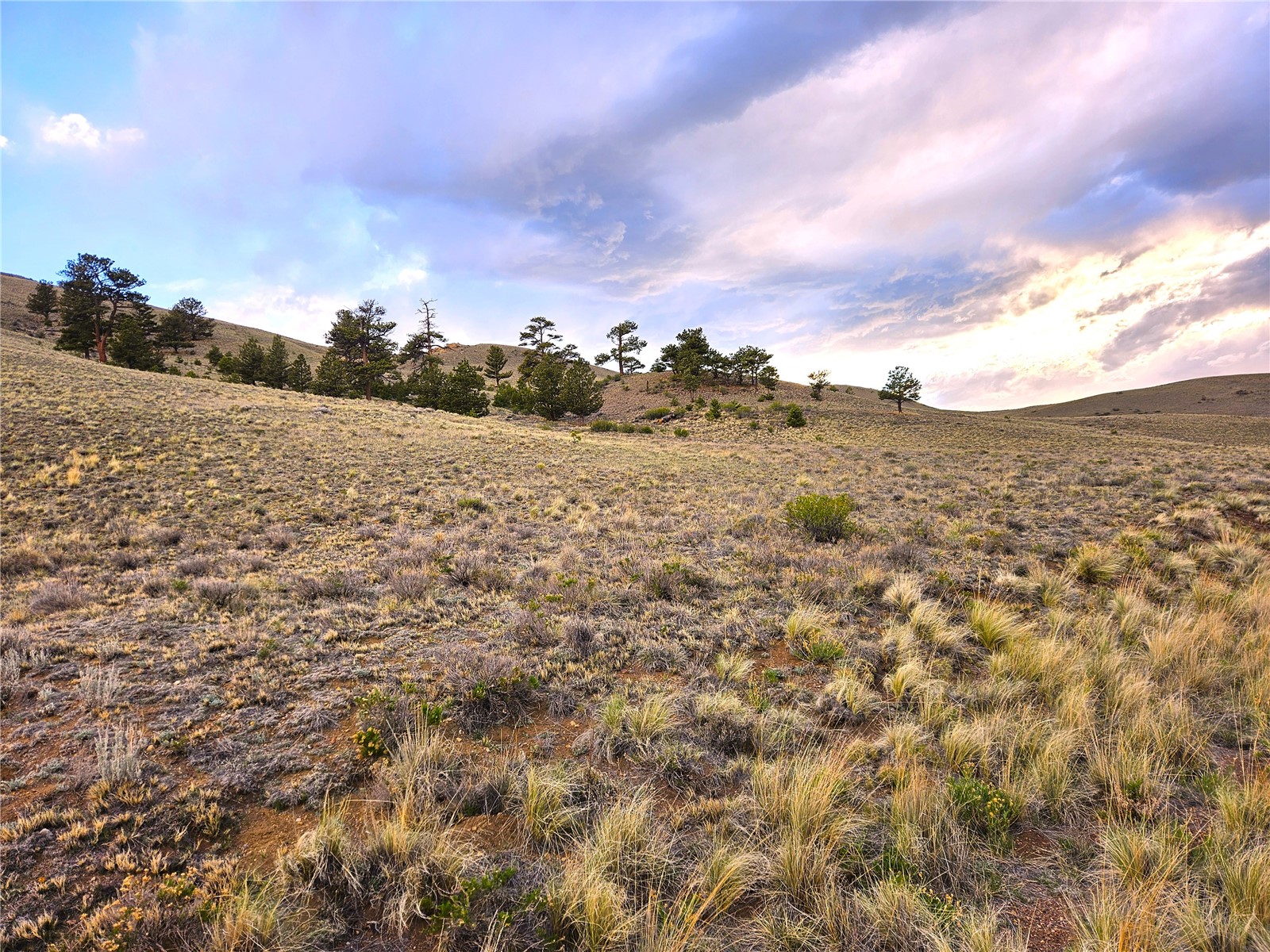Pcs#25427 Yuma Road Hartsel, CO 80449 - Photo 9 of 29