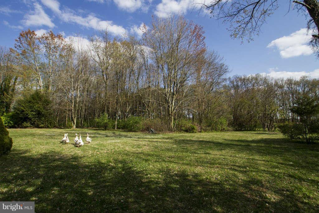 21224 Millers Mill Road Freeland, MD 21053 - Photo 29 of 30 View