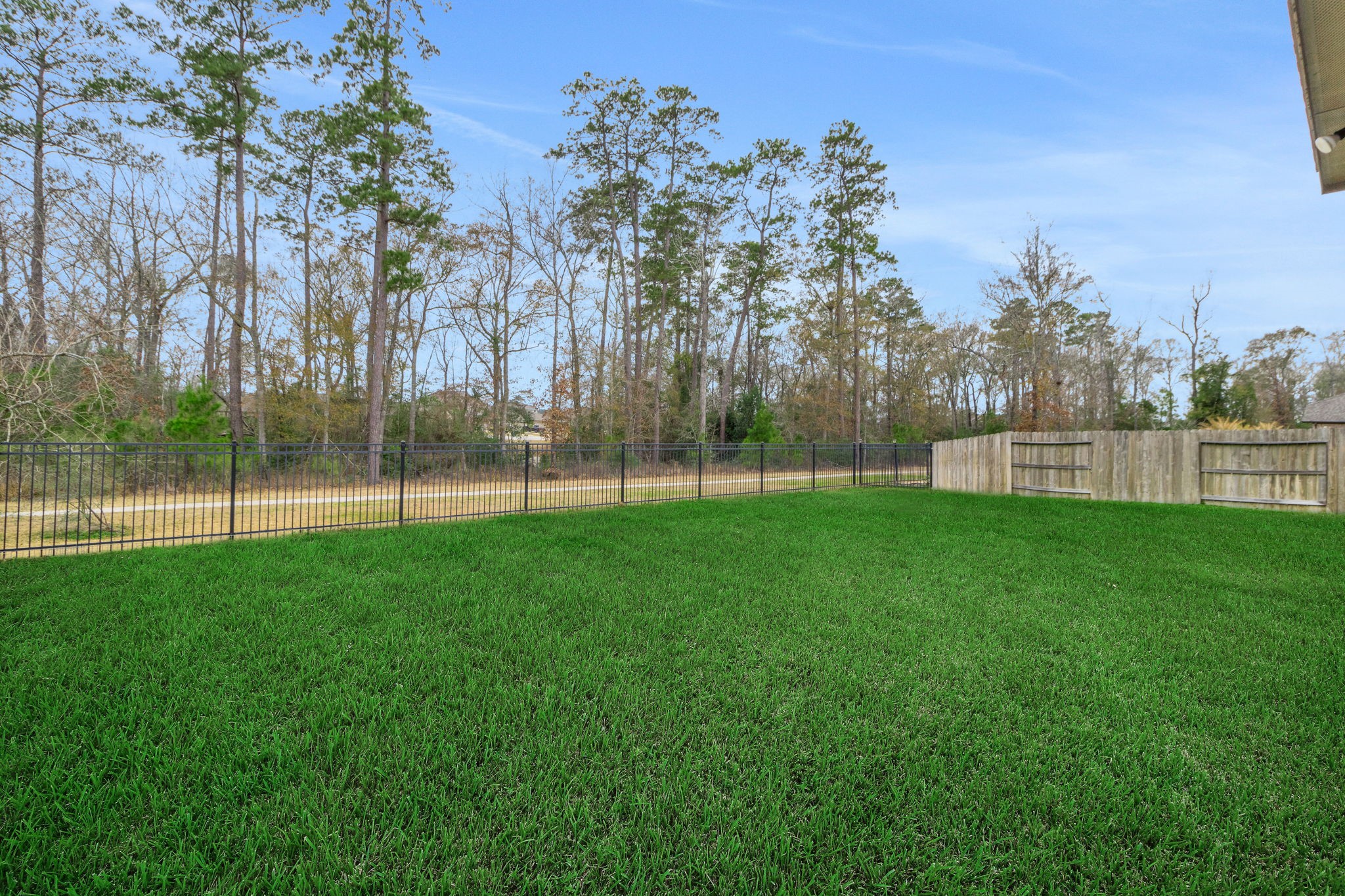 19248 Yellow Chestnut Lane New Caney, TX 77357 - Photo 38 of 42 a view of a park with a large trees